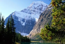 Kaiyun-包含NBA总决赛国际比赛日走向成谜，圣安东尼奥马刺战术微调，悬念犹存，训练强度明显提升的词条